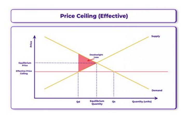 What is price ceiling in economics with example?