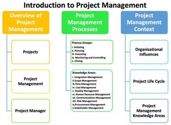 What is project management in technology?
