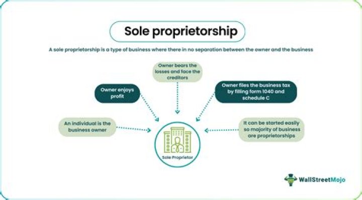 What is revenue for sole proprietorship?