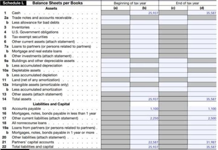 What is Schedule L on a 1065?