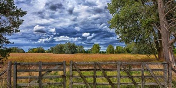 What is severance tax in oil and gas?