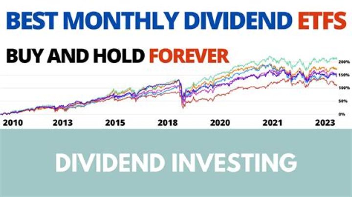 What is stock dividend why it is issued?