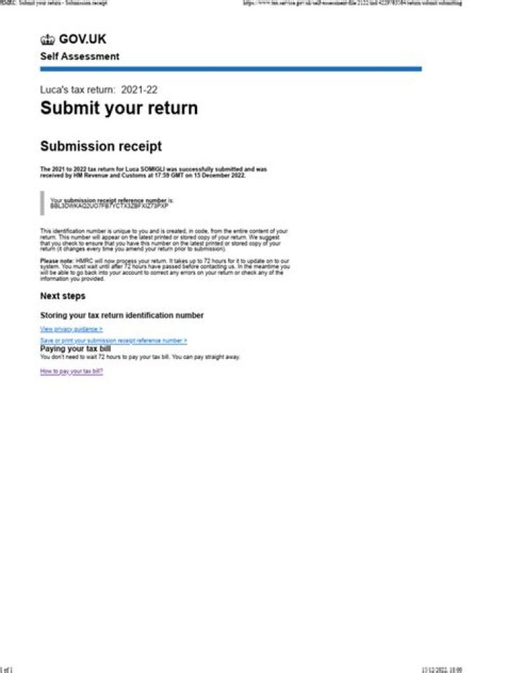 What is submission of tax return?