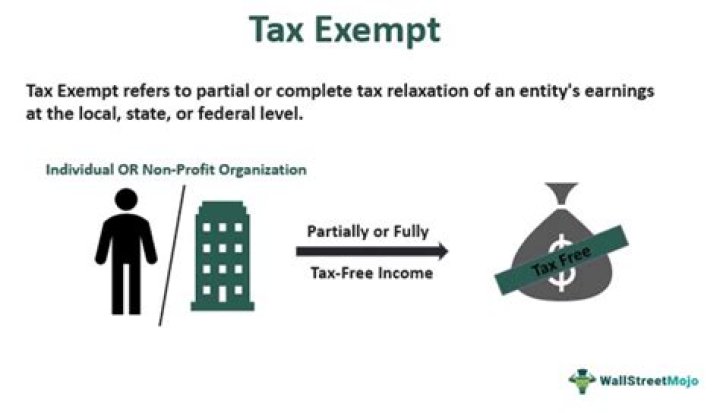 What is tax-exempt non qualified interest?