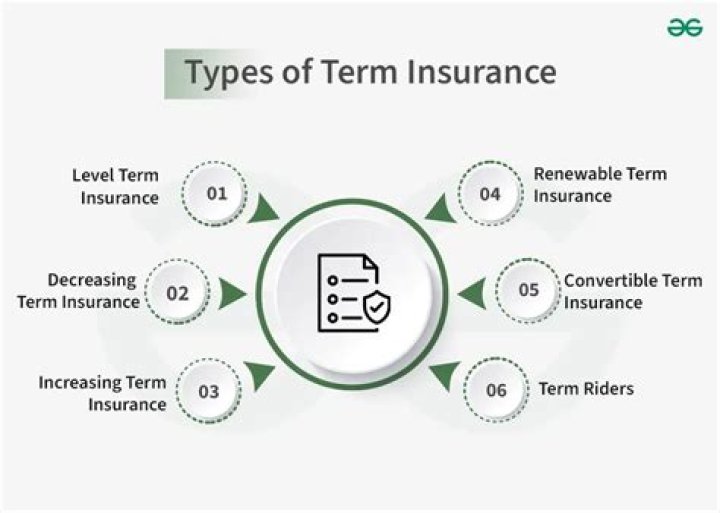 What is term insurance and how does it work?