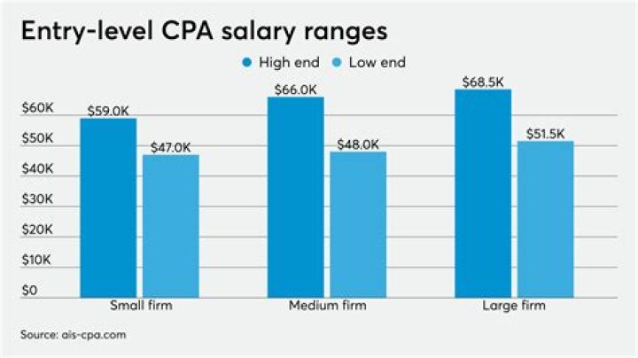 What is the average accountant fee?