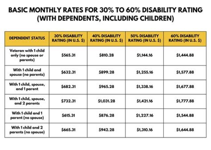 What is the average disability payment per month?
