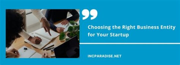 What is the best business entity for a startup?