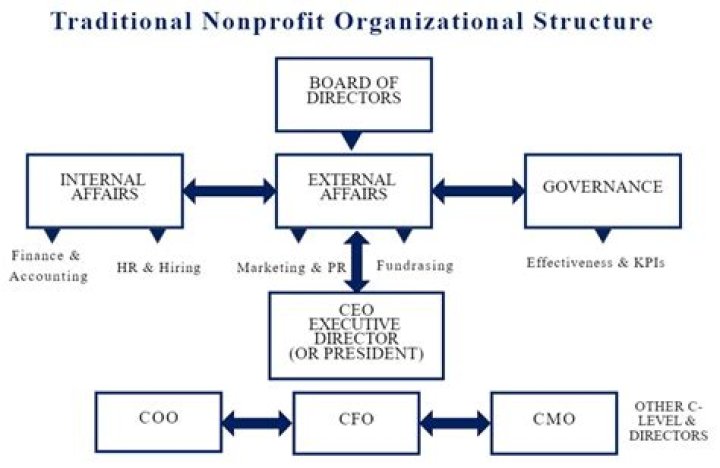 What is the best business structure for a nonprofit?