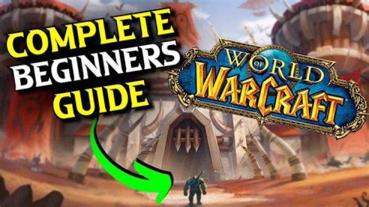 What is the best way to play WoW?