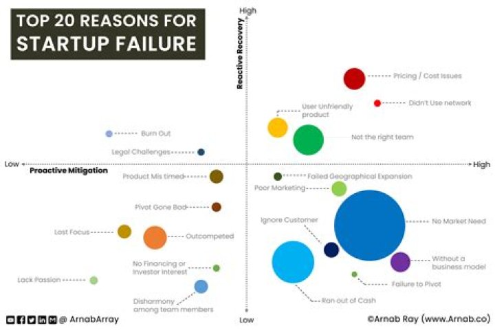 What is the biggest reason for new company failures?