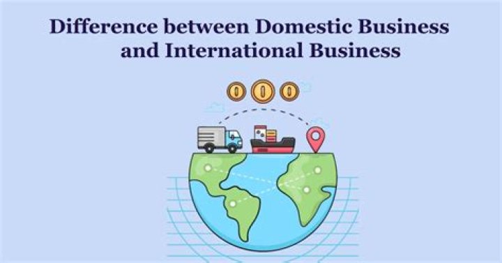 What is the difference between a foreign business entity and a domestic business entity?