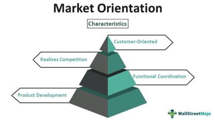 What is the difference between market oriented and marketing-oriented?