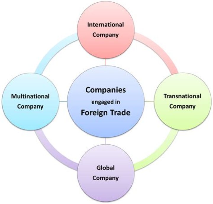 What is the difference between multinational company and national company?