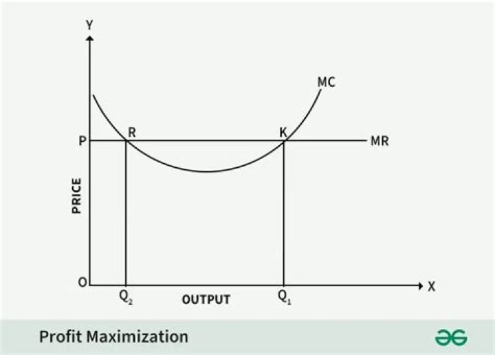 What is the economic condition for maximizing profit?