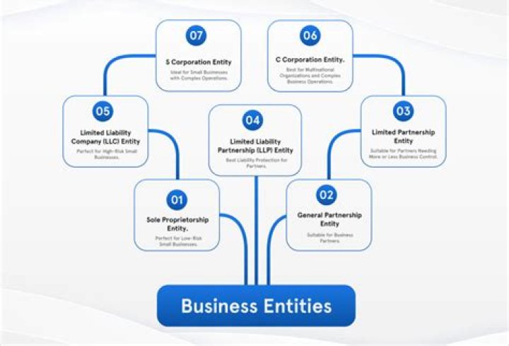 What is the entity purpose of an LLC?