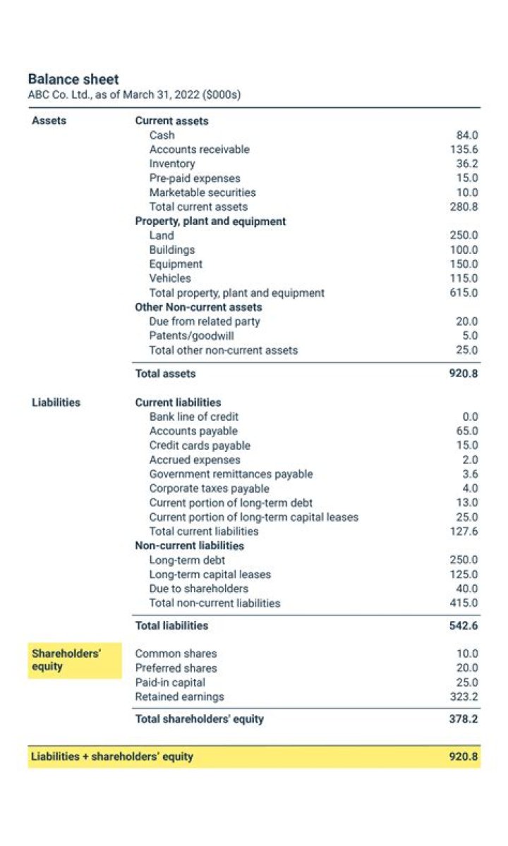 What is the equity section of a balance sheet?