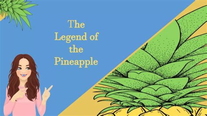 What is the exposition of the legend of pineapple?