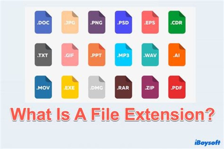 What is the file extension of FORM file?