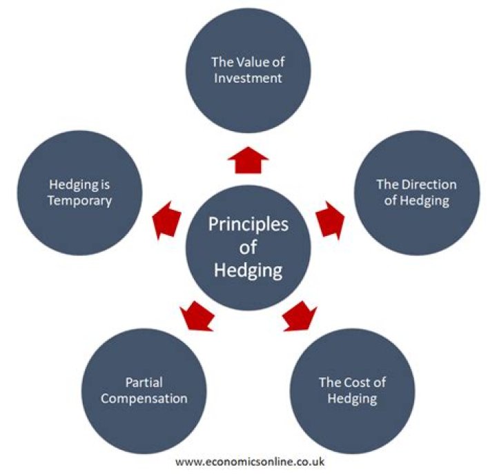 What is the hedging principle?
