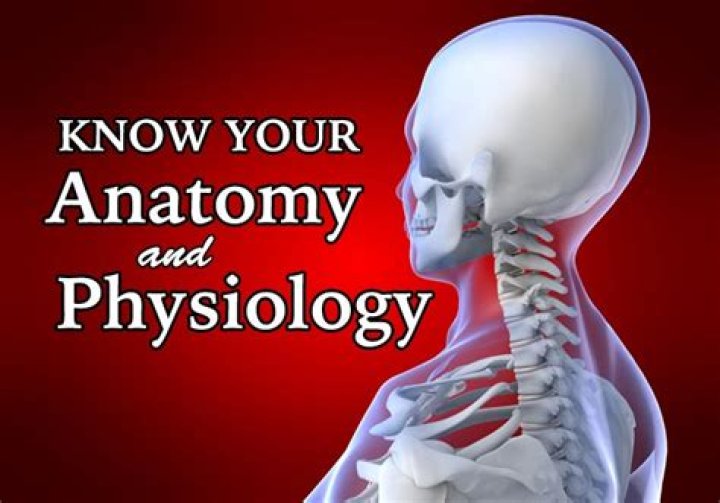 What is the importance of anatomy and physiology with your future career field?