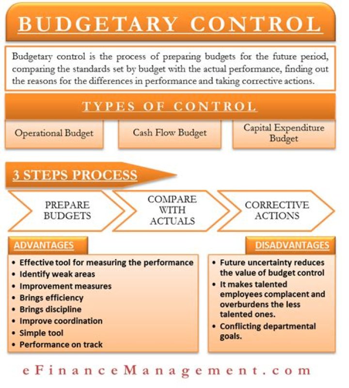 What is the importance of budgetary control?