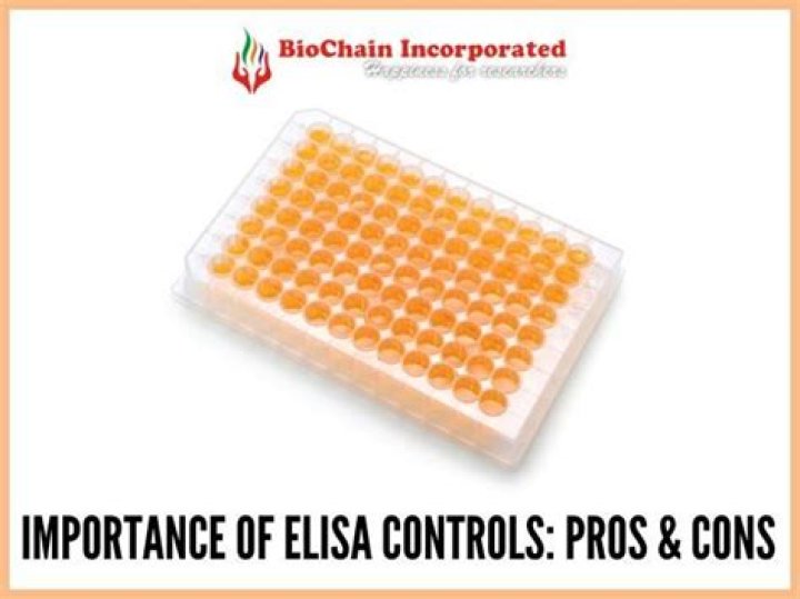 What is the Importance of ELISA Controls?