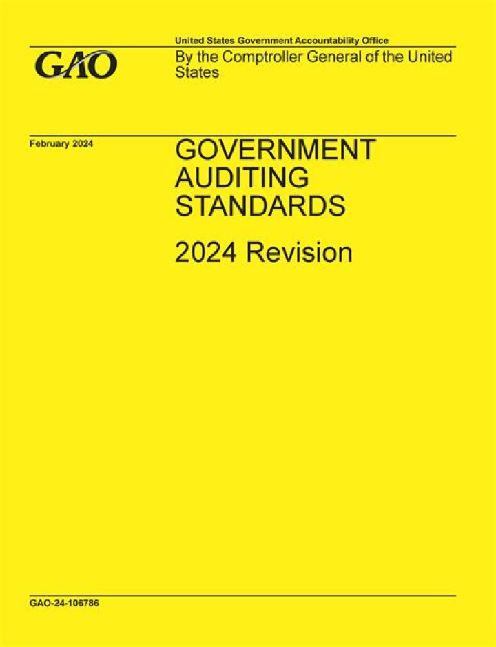 What is the importance of government auditing?