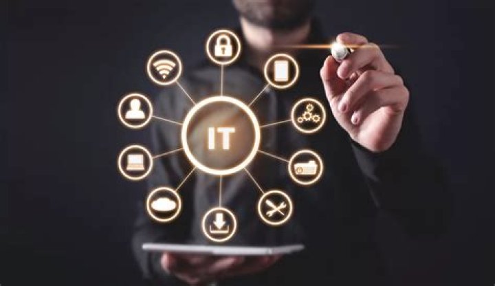 What is the importance of information in 7 11 strategy?