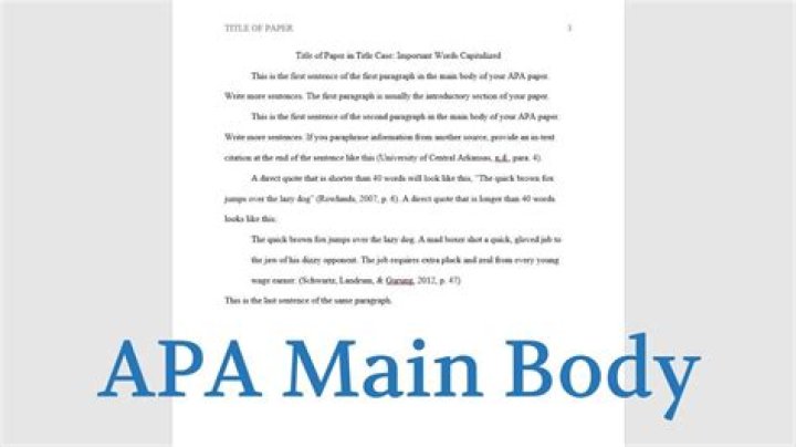 What is the main body of an APA paper?