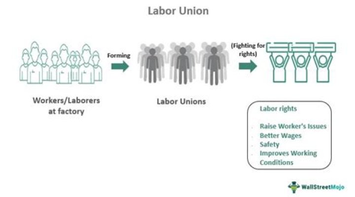 What is the meaning of labor economics?
