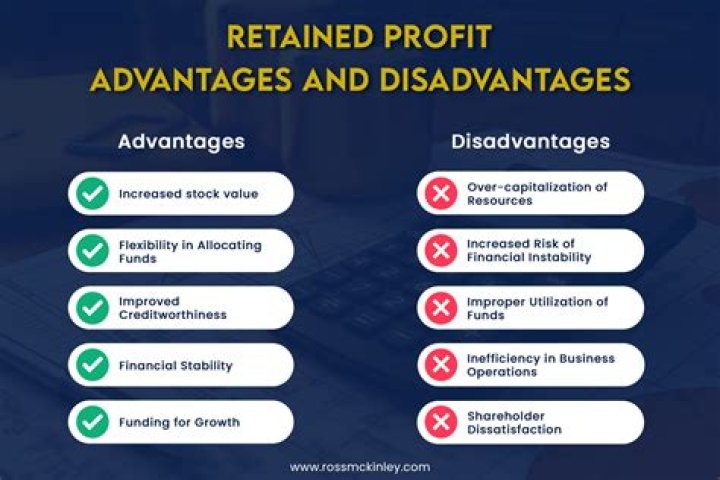 What is the meaning of retained profit?