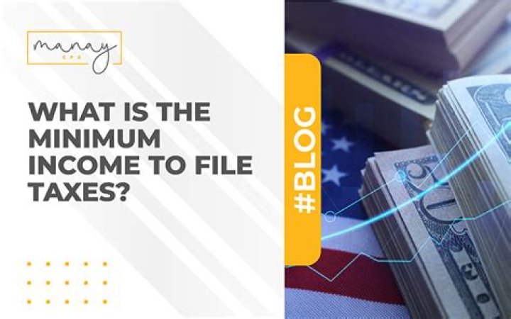 What is the minimum income to file taxes in 2010?