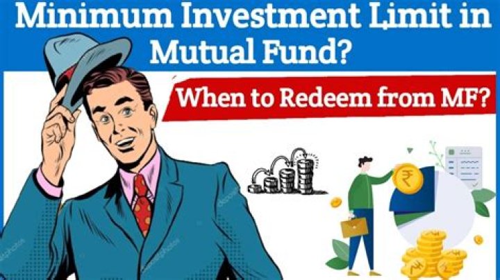 What is the minimum investment limit for savings bonds?