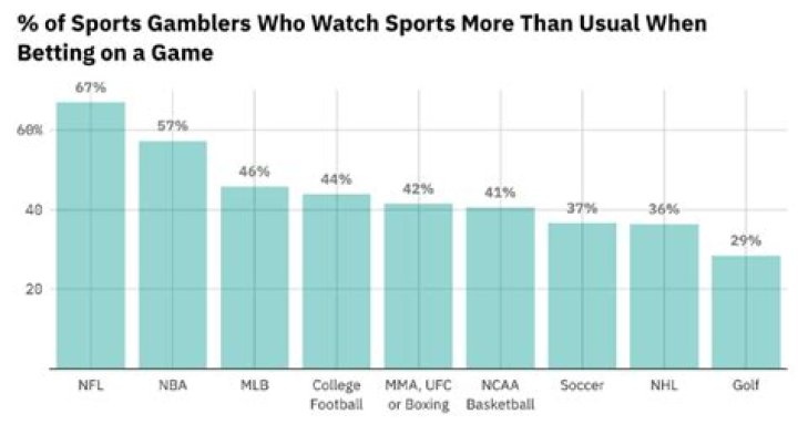 What is the most gambled on sport?