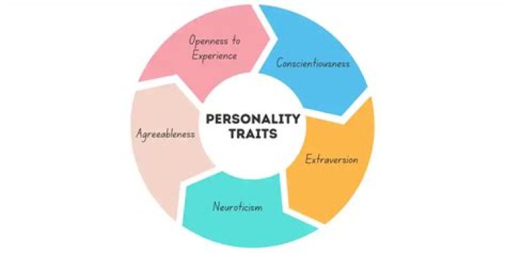 What is the neo personality test used for?