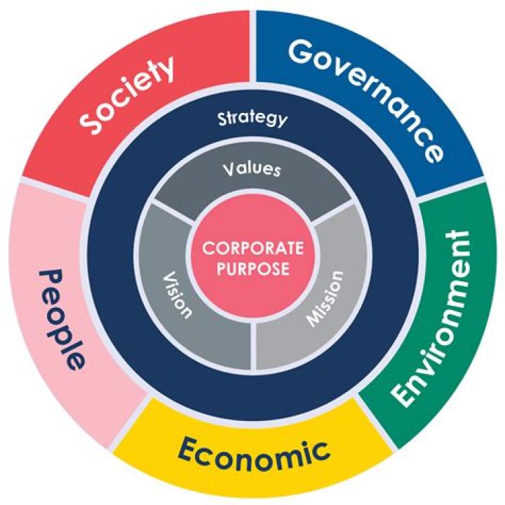 What is the purpose of establishing a company?