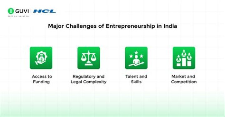 What is the role of government and other institution in the development of entrepreneurship in India?