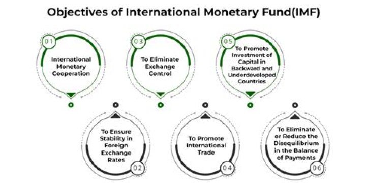 What is the role of International Monetary Fund in the global economy?