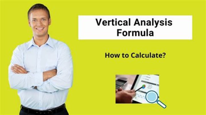 What is the vertical analysis formula?