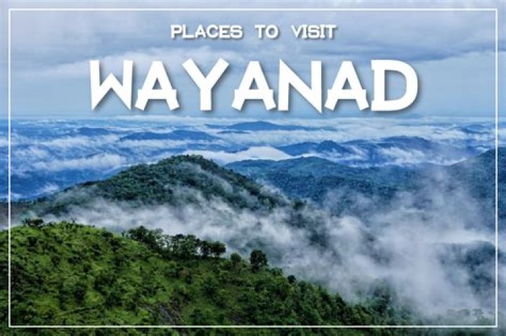 What is wayanad famous for purchase?