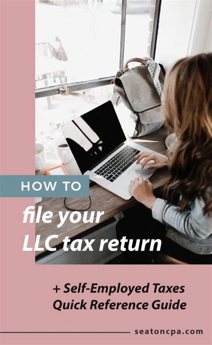 What kind of tax return does a LLC file?