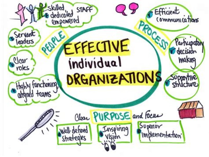 What makes an organization efficient?