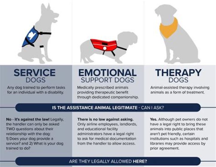 What mental disabilities qualify for a service dog?