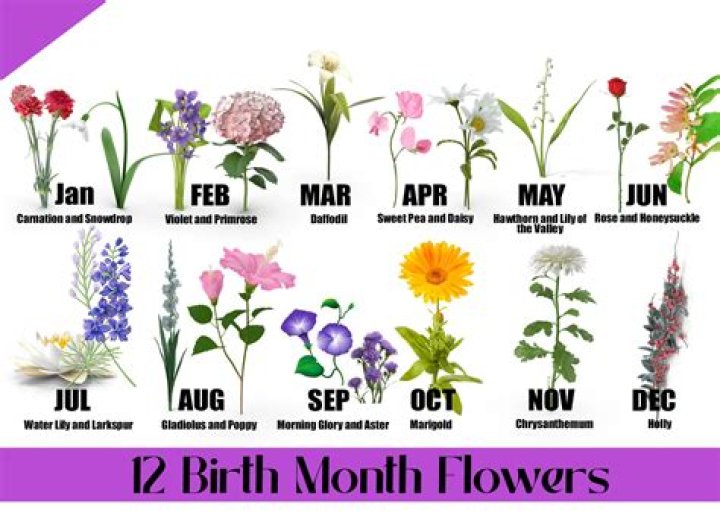 What month are twins usually born?