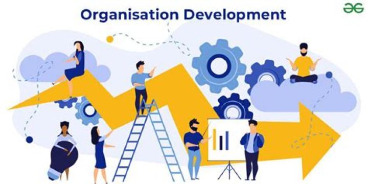 What Organisations can promote development?
