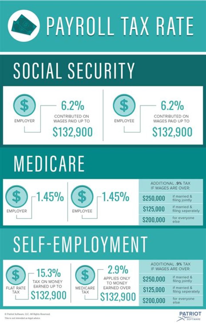 What payroll taxes do employers pay in Hawaii?