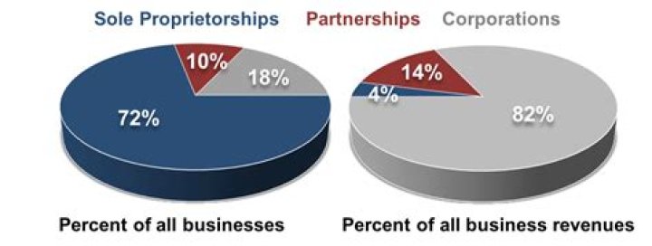 What percentage of businesses start as a sole proprietorship?