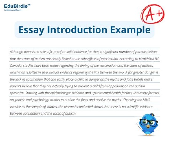What percentage of my essay should be the introduction?