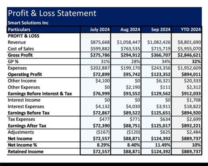 What report shows profit and loss?